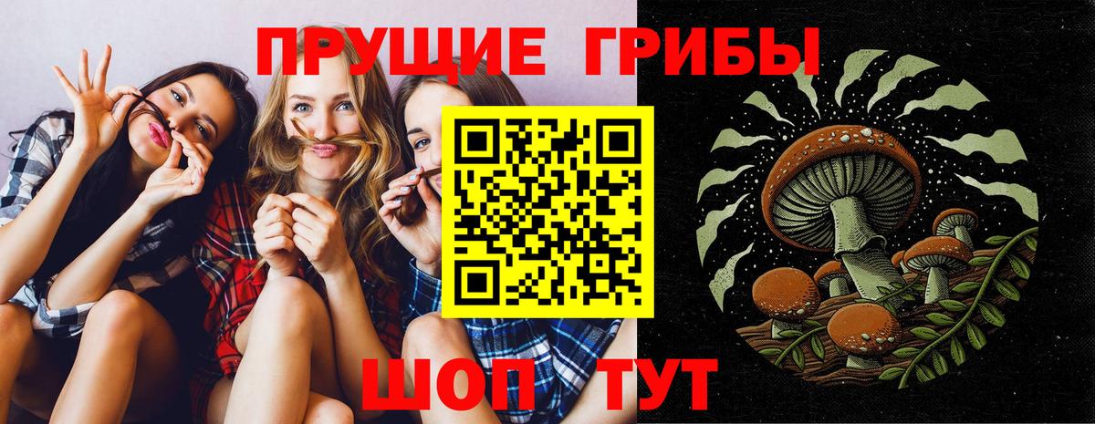 Псилоцибиновые грибы Назрань