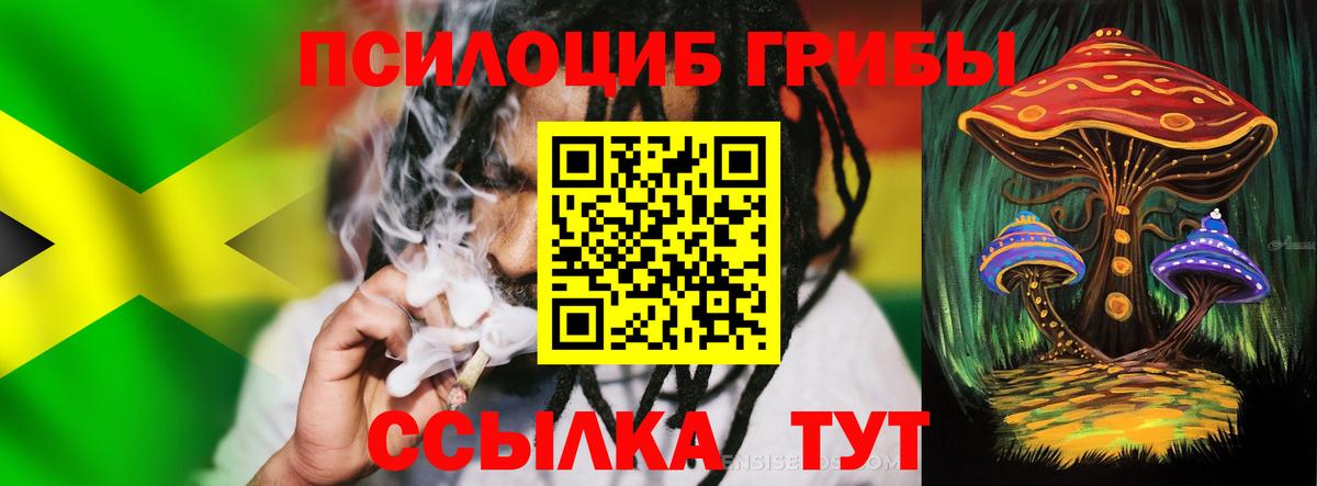Галлюциногенные грибы Cubensis Назрань