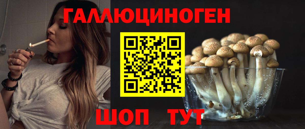 Псилоцибиновые грибы Psilocybine cubensis  Вход с VPN  Псилоцибиновые грибы прущие грибы  Назрань 